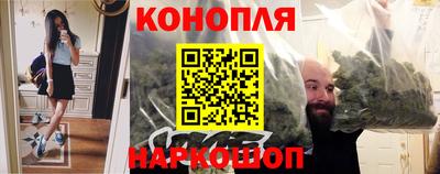 прущие грибы Обнинск