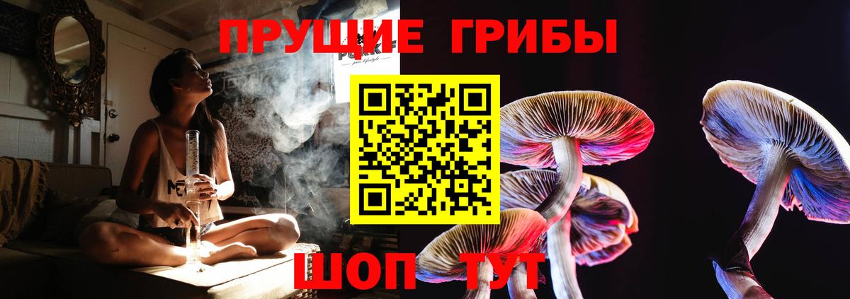 Серов  Псилоцибиновые грибы мухоморы  Вход с VPN 