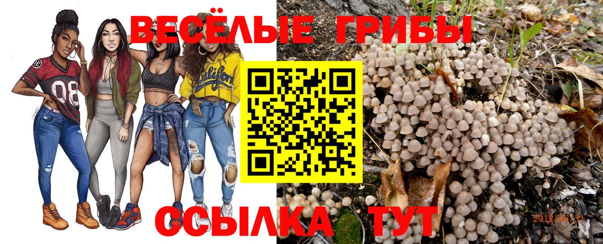 Галлюциногенные грибы GOLDEN TEACHER Серов
